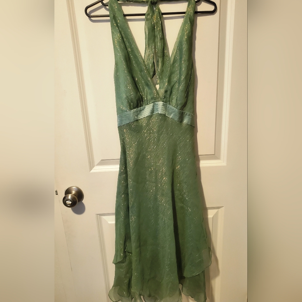 BCBGMaxAzria Shimmering Green And Gold Dress Size 6